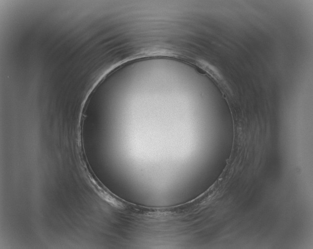 X0000062611236200601040931