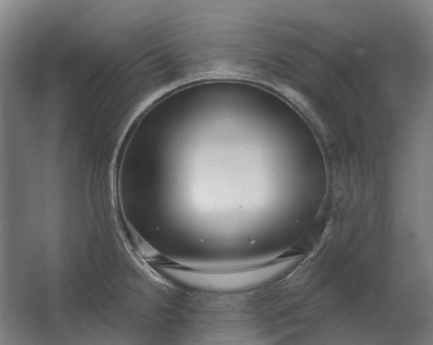 X0000062611238200601040931