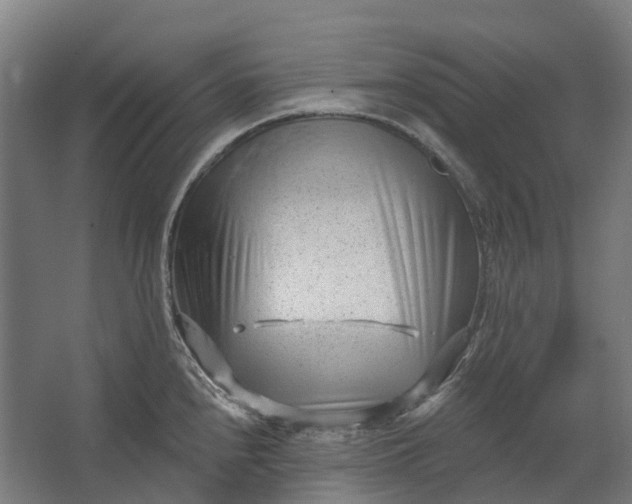 X0000062611240200601040931