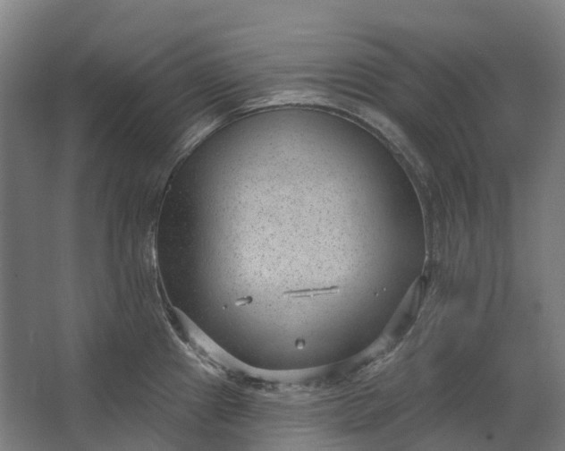 X0000062611241200601040931