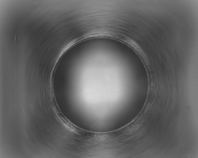 X0000062611242200601040931