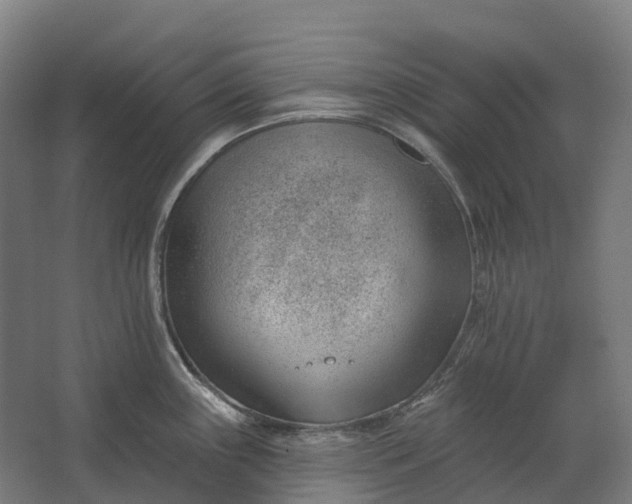 X0000062611243200601040931