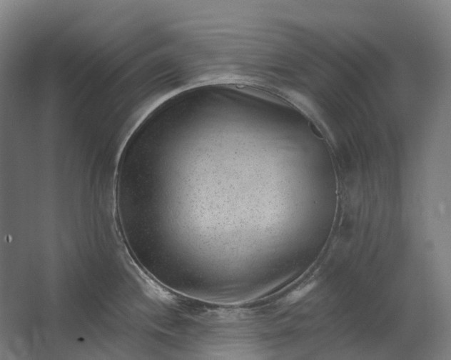 X0000062611244200601040931