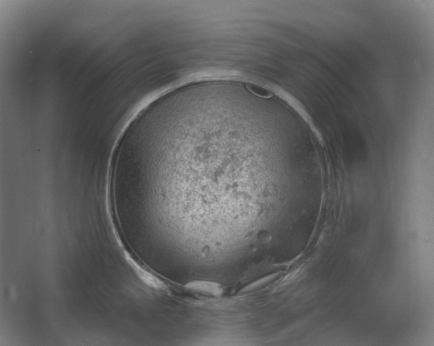 X0000062611245200601040931