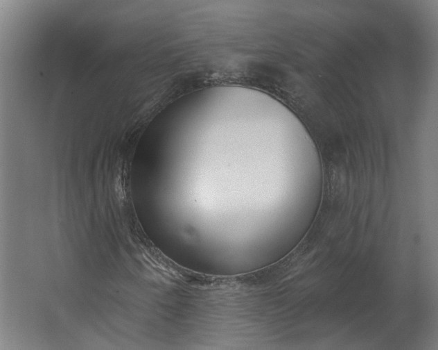 X0000062611250200601040930