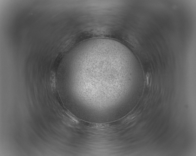 X0000062611251200601040930