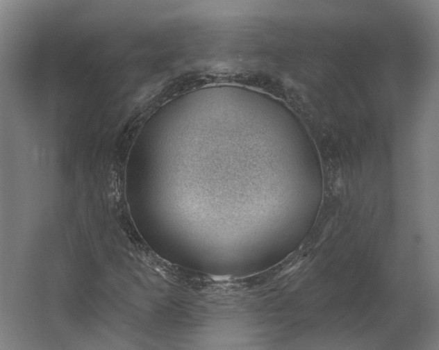 X0000062611253200601040930