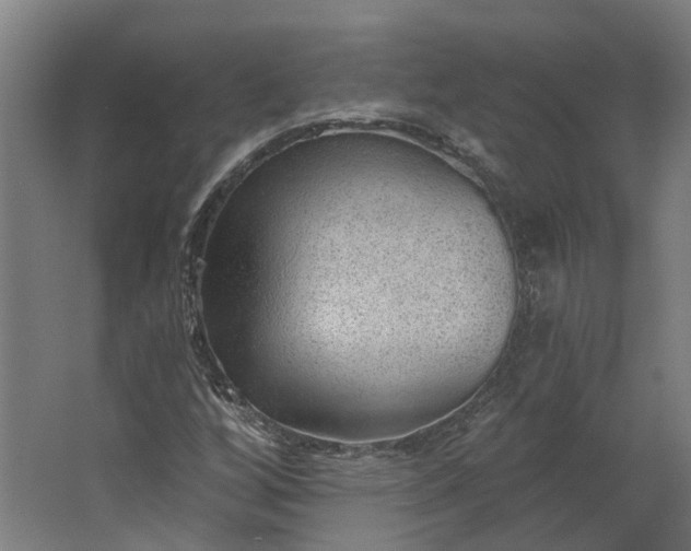 X0000062611256200601040930