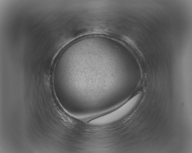 X0000062611260200601040930