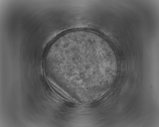 X0000062611262200601040930