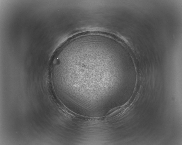 X0000062611263200601040930