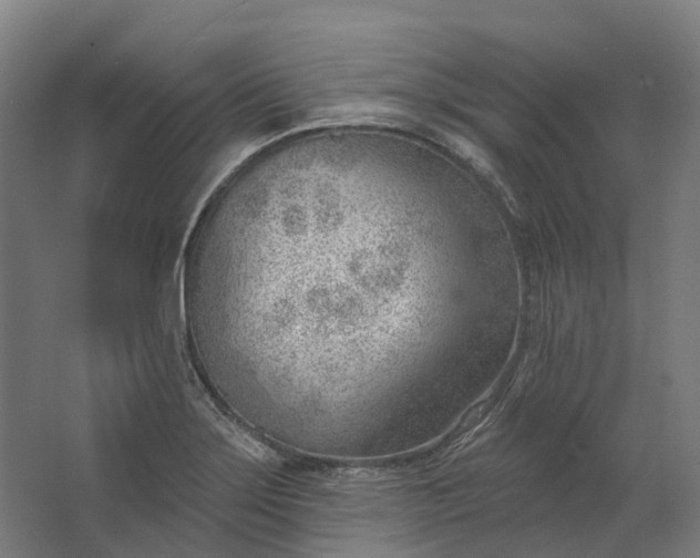 X0000062611275200601040930