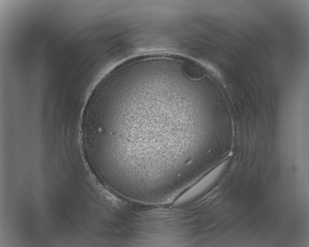 X0000062611279200601040930