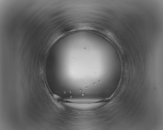 X0000062611281200601040930