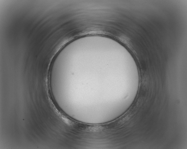 X0000062611282200601040930