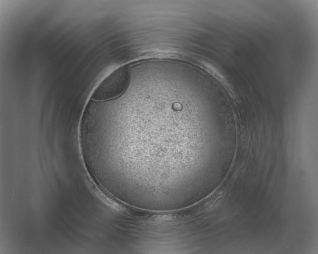 X0000062611283200601040930