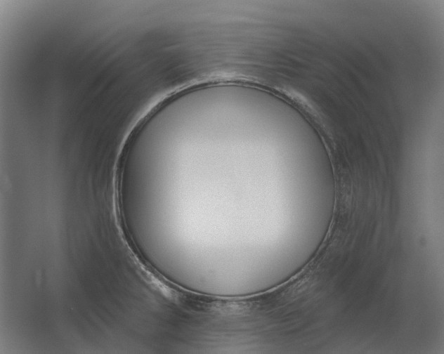 X0000062611286200601040930