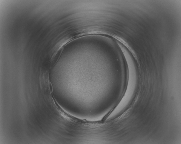 X0000062611289200601040929