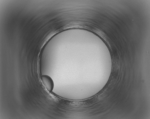 X0000062611290200601040929