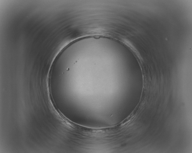 X0000062611291200601040929