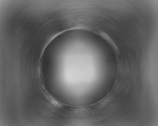 X0000062611292200601040929