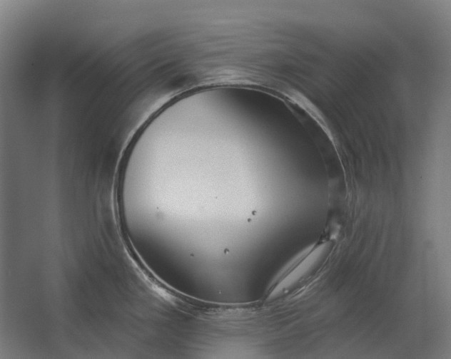 X0000062611293200601040929