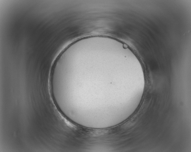 X0000062611294200601040929