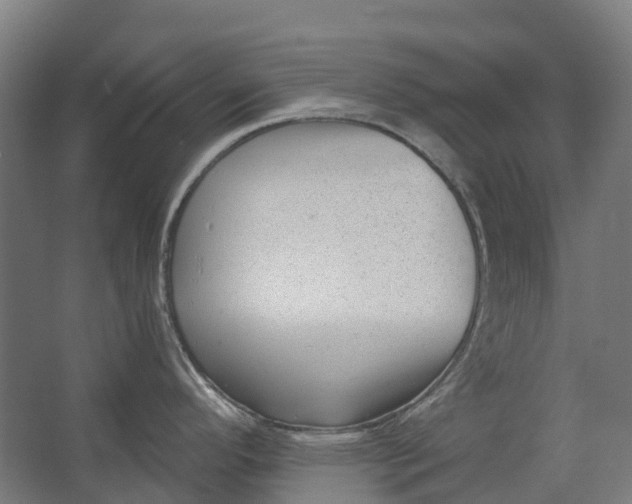 X0000062611296200601040929