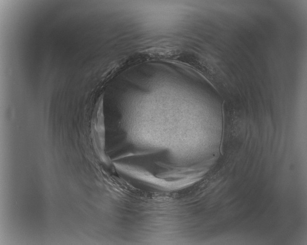 X0000062611297200601040929