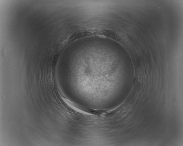 X0000062611298200601040929