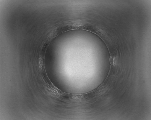 X0000062611299200601040929