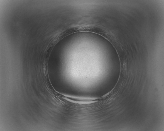 X0000062611300200601040929