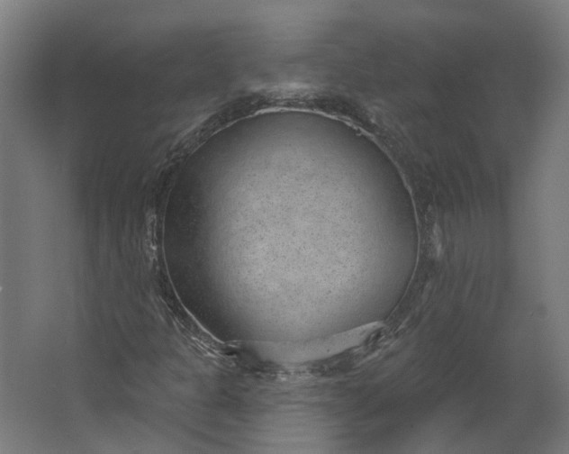 X0000062611301200601040929