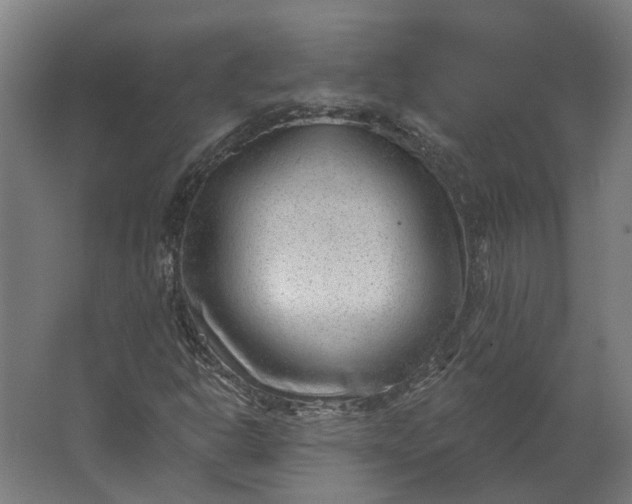 X0000062611302200601040929