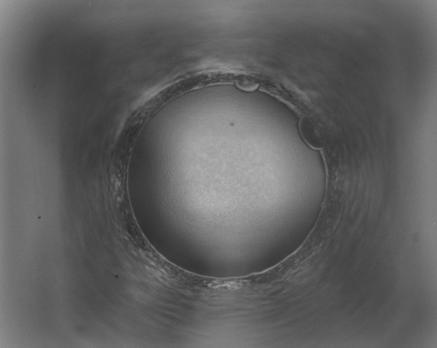 X0000062611303200601040929