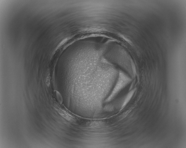 X0000062611306200601040929