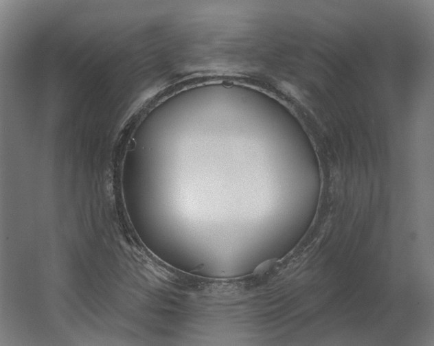 X0000062611307200601040929