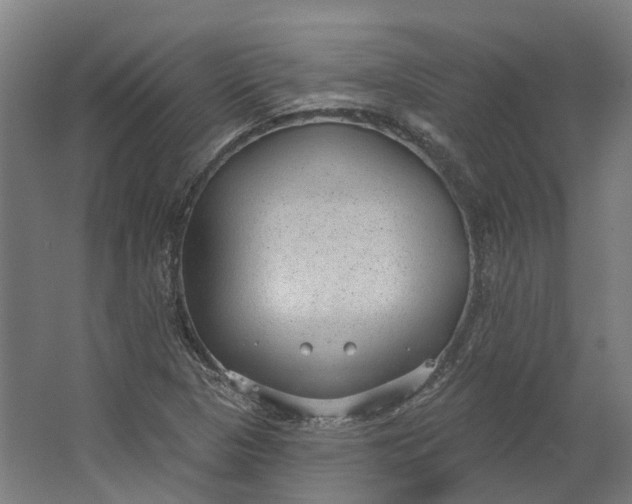 X0000062611313200601040929