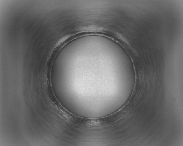 X0000062611315200601040929