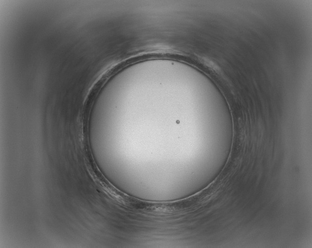 X0000062611318200601040929