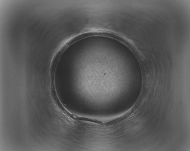 X0000062611319200601040929