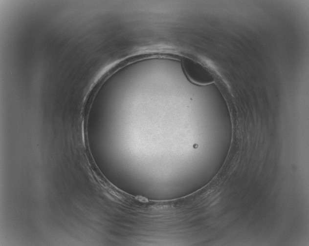 X0000062611320200601040929