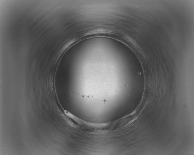 X0000062611321200601040929