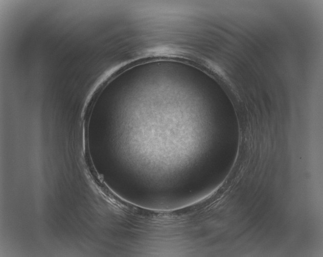 X0000062611323200601040929