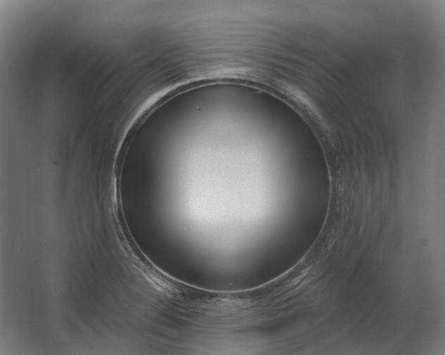 X0000062611324200601040929