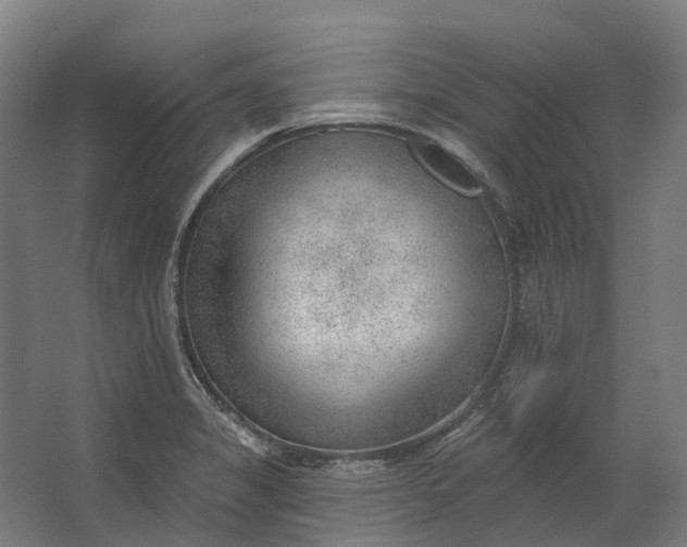 X0000062611325200601040929