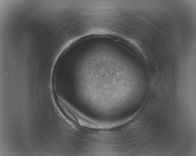 X0000062611327200601040929