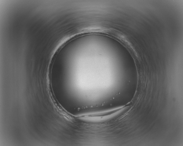 X0000062611328200601040929