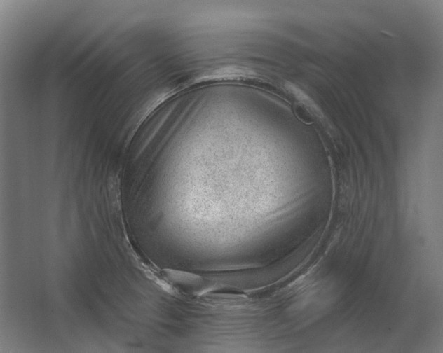 X0000062611329200601040929