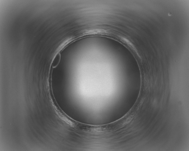 X0000062611330200601040929